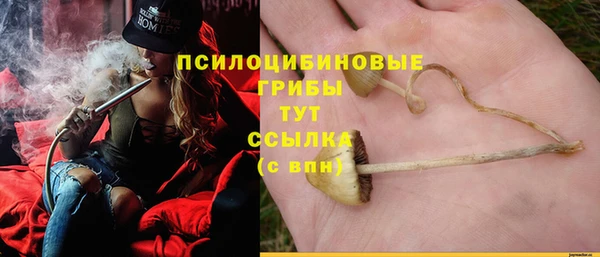 бутират Елабуга
