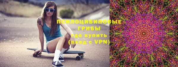 бутират Елабуга