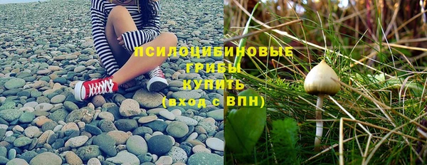МДПВ Елизово